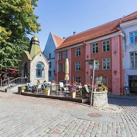 Апартаменти Toompea Castle 2-storey Unique Таллінн