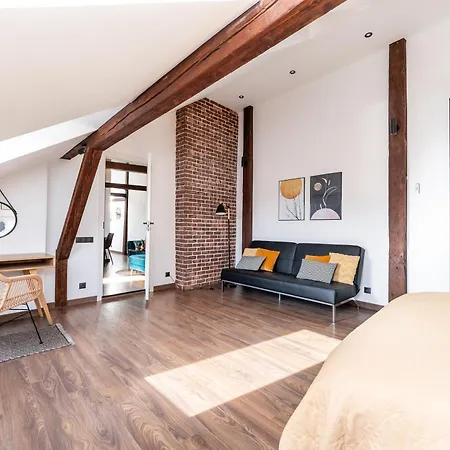 Toompea Castle 2-storey Unique Apartament Tallin